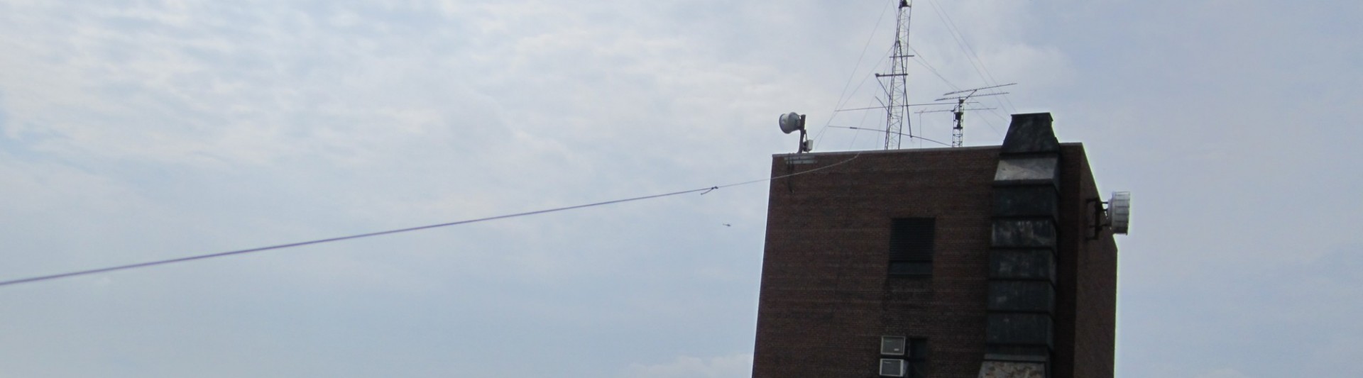 photo of G5RV antenna